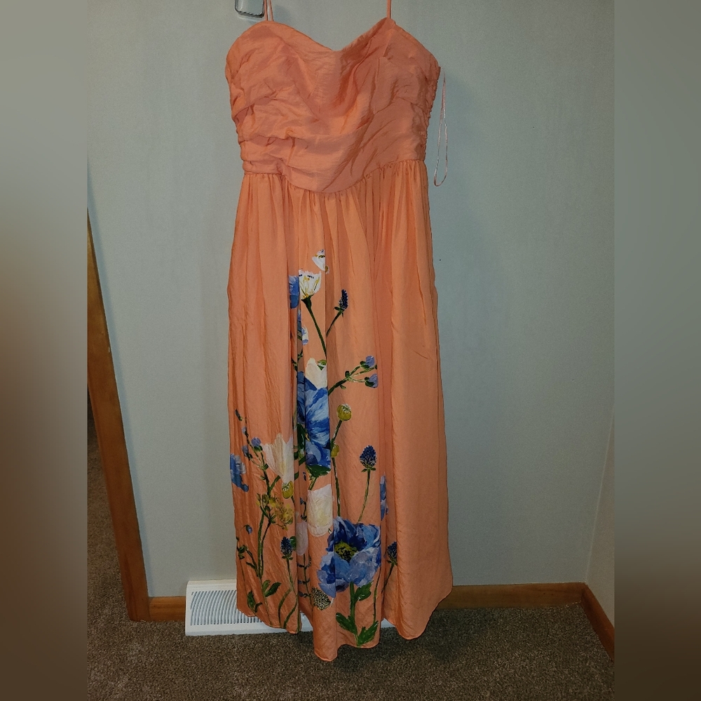 Anthropologie Maxi formal
